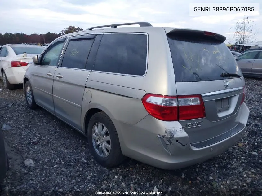 2006 Honda Odyssey Touring VIN: 5FNRL38896B067085 Lot: 40684759