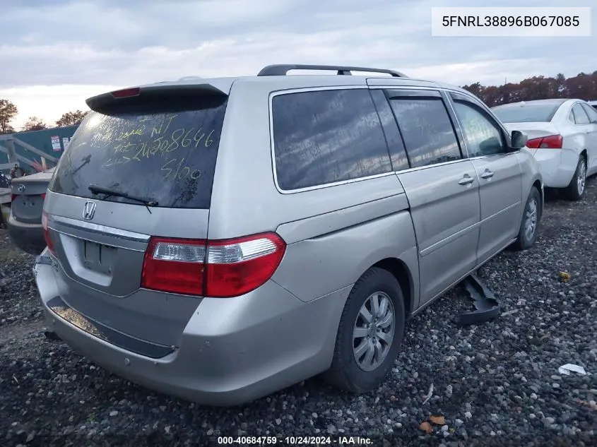 2006 Honda Odyssey Touring VIN: 5FNRL38896B067085 Lot: 40684759