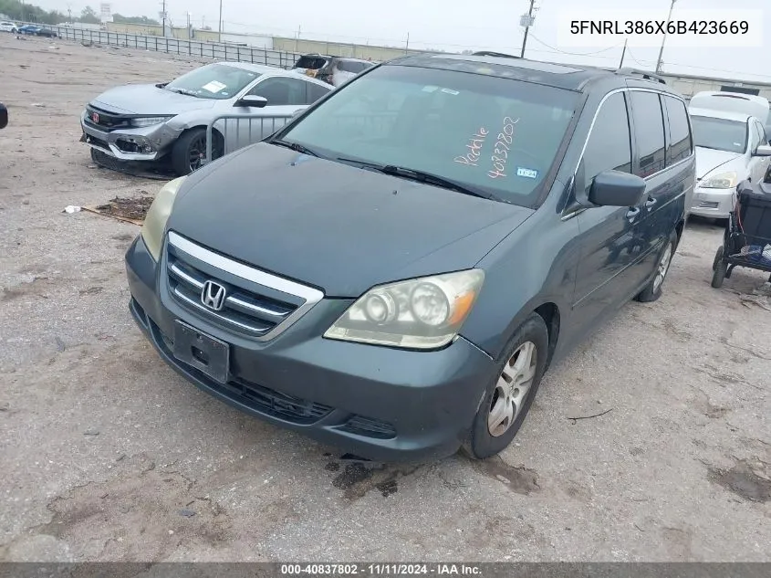 2006 Honda Odyssey Ex-L VIN: 5FNRL386X6B423669 Lot: 40837802