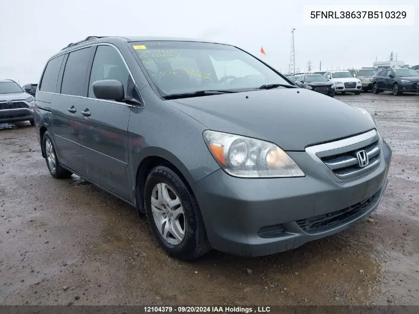 2007 Honda Odyssey VIN: 5FNRL38637B510329 Lot: 12104379