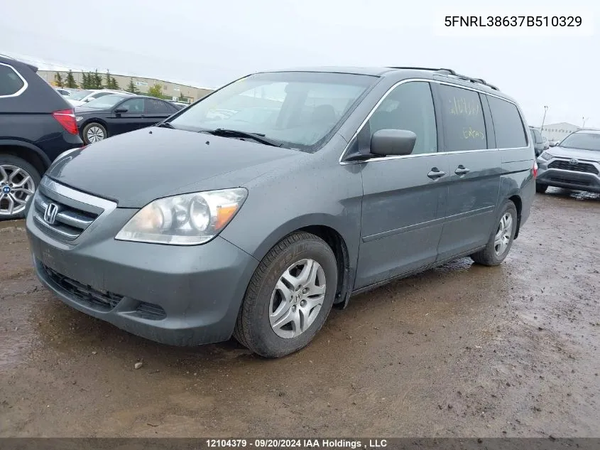 2007 Honda Odyssey VIN: 5FNRL38637B510329 Lot: 12104379