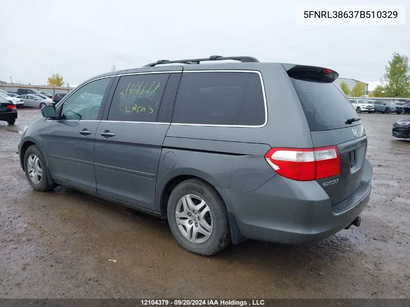 2007 Honda Odyssey VIN: 5FNRL38637B510329 Lot: 12104379