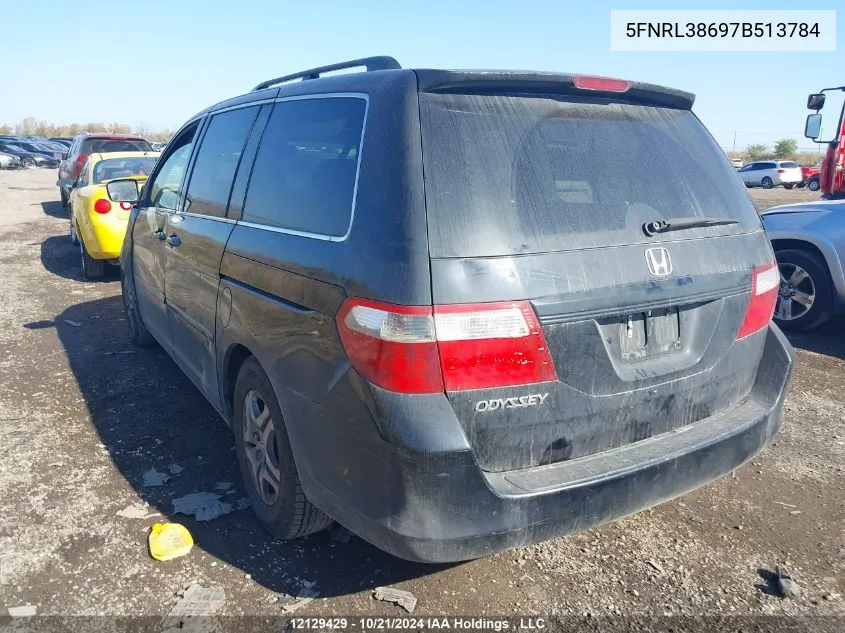 2007 Honda Odyssey VIN: 5FNRL38697B513784 Lot: 12129429