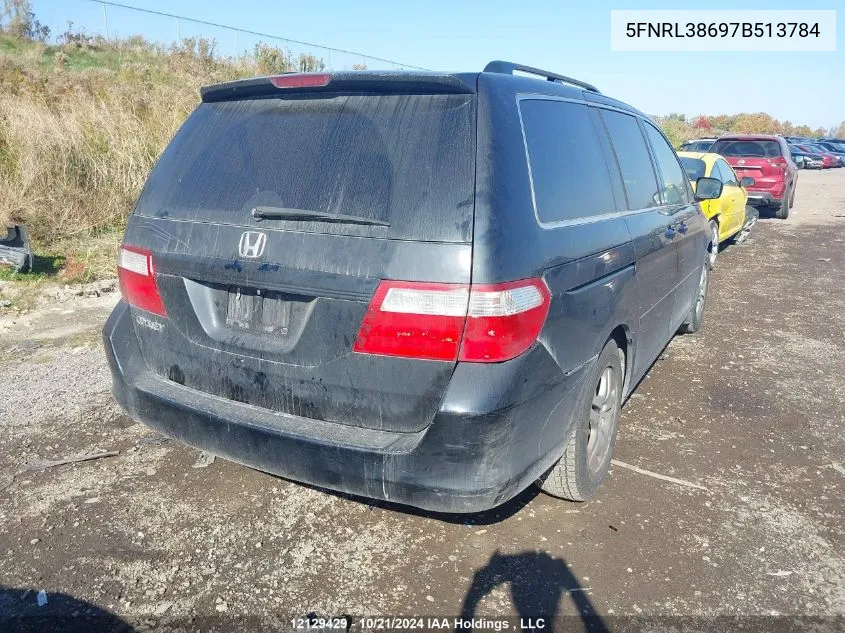 2007 Honda Odyssey VIN: 5FNRL38697B513784 Lot: 12129429