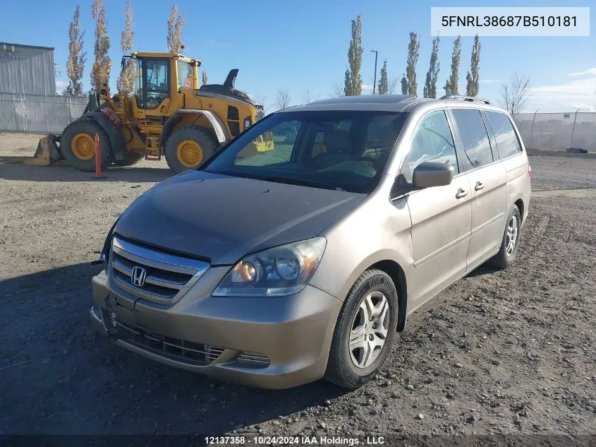 2007 Honda Odyssey VIN: 5FNRL38687B510181 Lot: 12137358