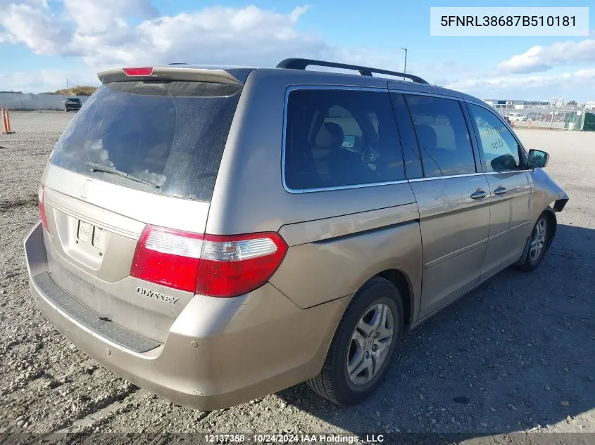 2007 Honda Odyssey VIN: 5FNRL38687B510181 Lot: 12137358