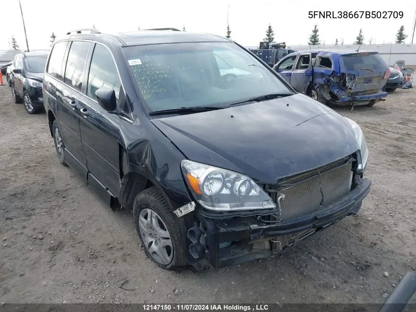 2007 Honda Odyssey VIN: 5FNRL38667B502709 Lot: 12147150