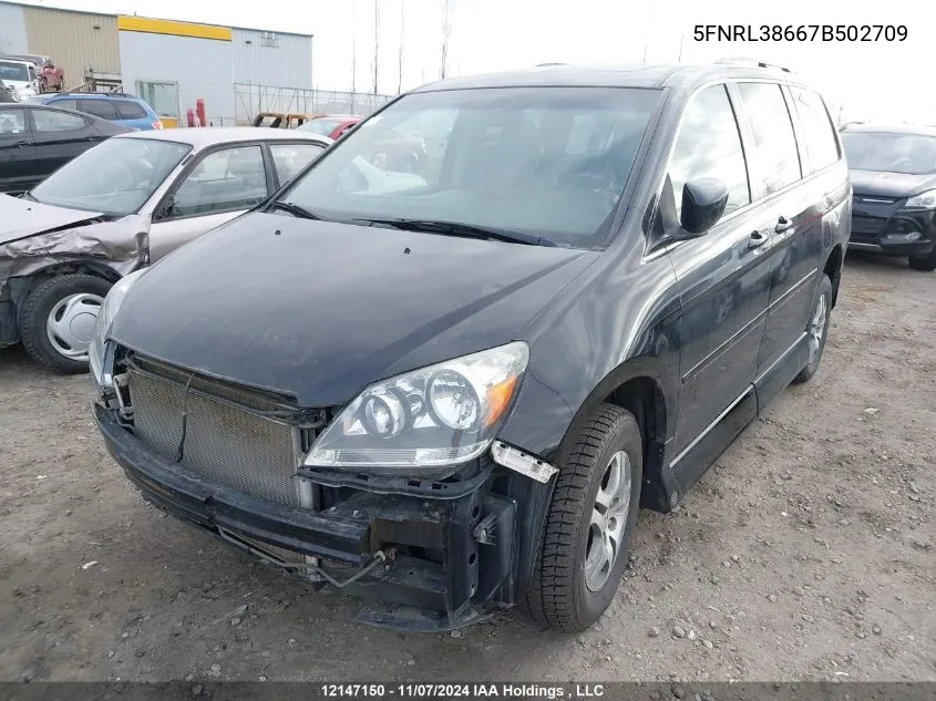 2007 Honda Odyssey VIN: 5FNRL38667B502709 Lot: 12147150