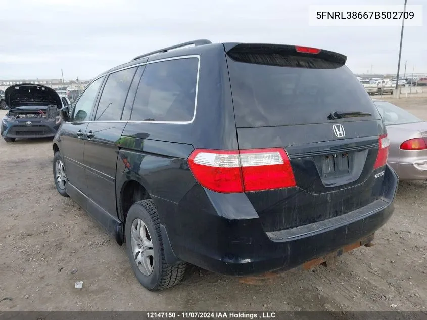 2007 Honda Odyssey VIN: 5FNRL38667B502709 Lot: 12147150