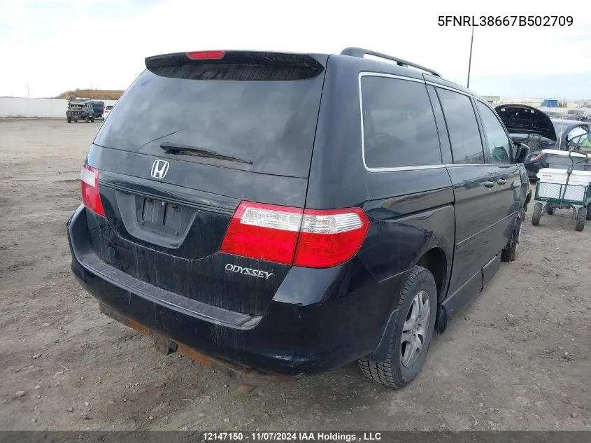 2007 Honda Odyssey VIN: 5FNRL38667B502709 Lot: 12147150