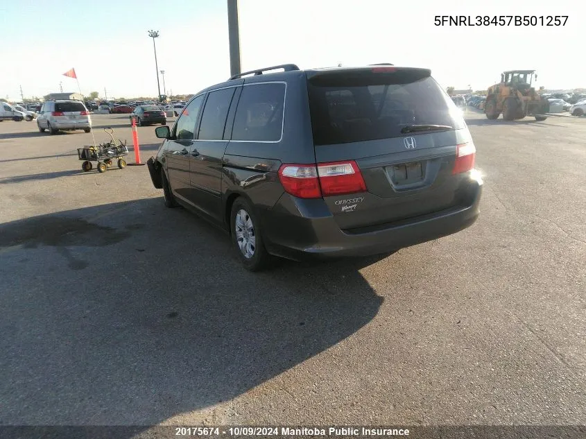 2007 Honda Odyssey Ex VIN: 5FNRL38457B501257 Lot: 20175674