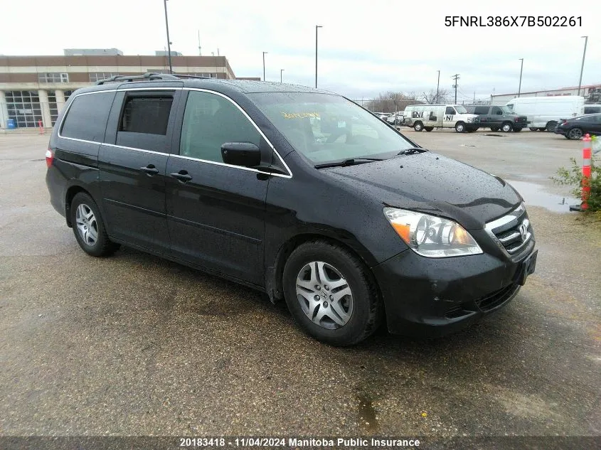 2007 Honda Odyssey Ex-L VIN: 5FNRL386X7B502261 Lot: 20183418