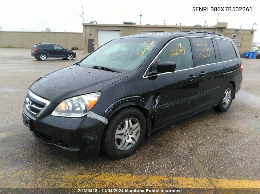 2007 Honda Odyssey Ex-L VIN: 5FNRL386X7B502261 Lot: 20183418