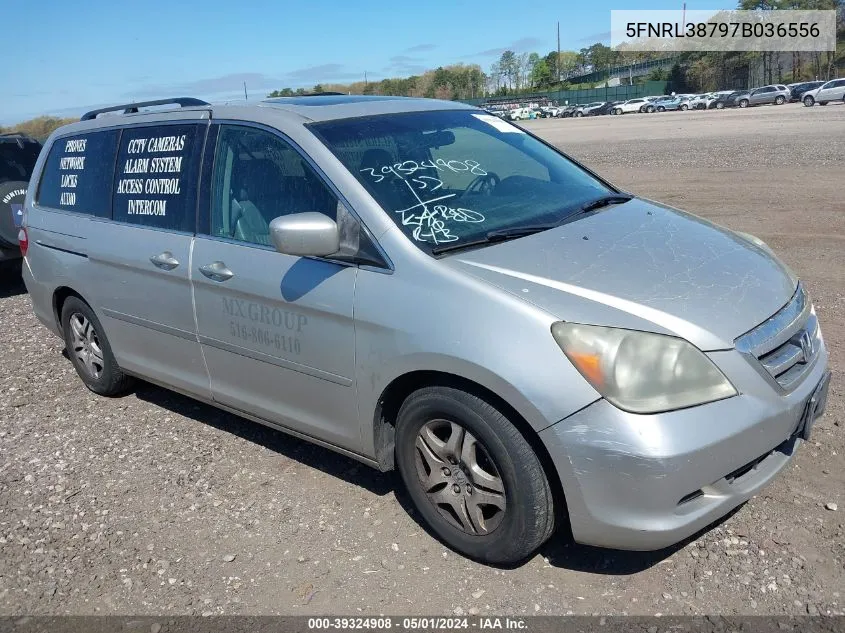 2007 Honda Odyssey Ex-L VIN: 5FNRL38797B036556 Lot: 39324908