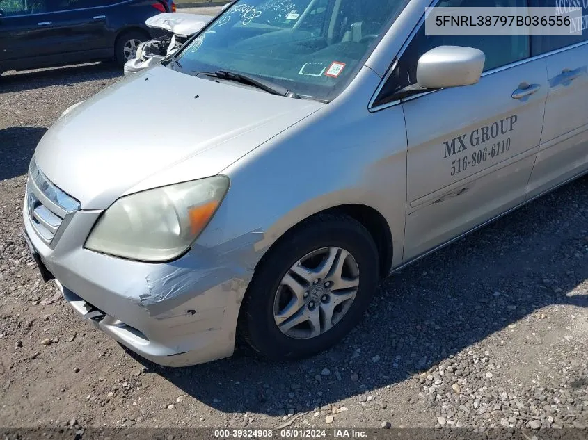 5FNRL38797B036556 2007 Honda Odyssey Ex-L