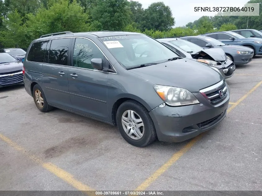 2007 Honda Odyssey Ex-L VIN: 5FNRL38727B064019 Lot: 39789661