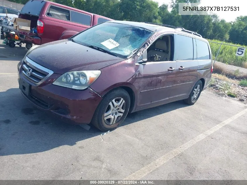 2007 Honda Odyssey Ex-L VIN: 5FNRL387X7B127531 Lot: 39920329