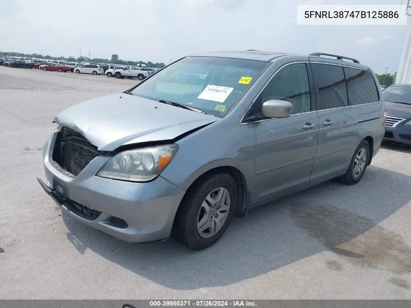 2007 Honda Odyssey Ex-L VIN: 5FNRL38747B125886 Lot: 39950371