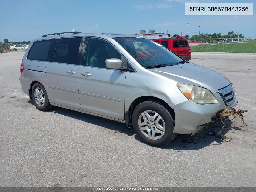 5FNRL38667B443256 2007 Honda Odyssey Ex-L