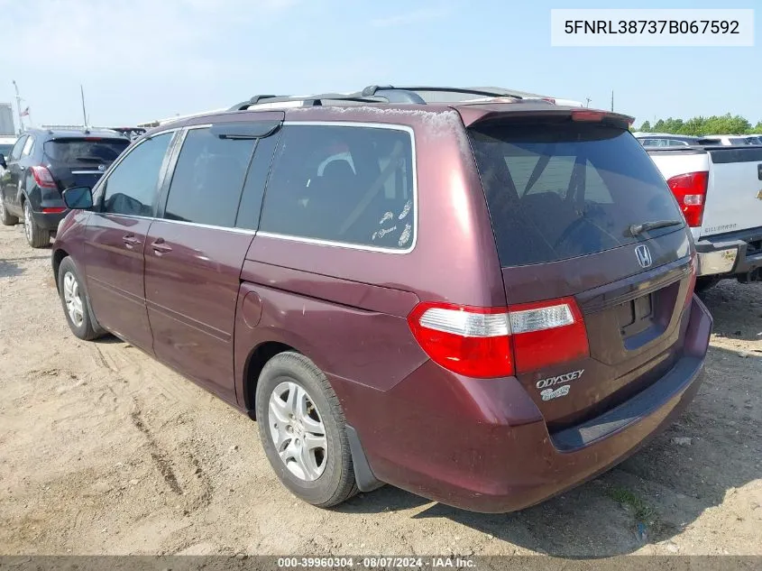 2007 Honda Odyssey Ex-L VIN: 5FNRL38737B067592 Lot: 39960304