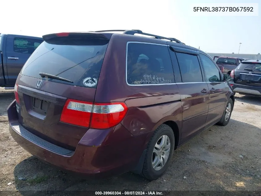 2007 Honda Odyssey Ex-L VIN: 5FNRL38737B067592 Lot: 39960304