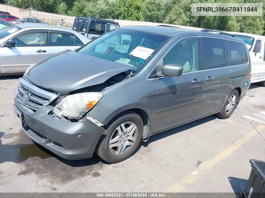 2007 Honda Odyssey Ex-L VIN: 5FNRL38667B411844 Lot: 39982221