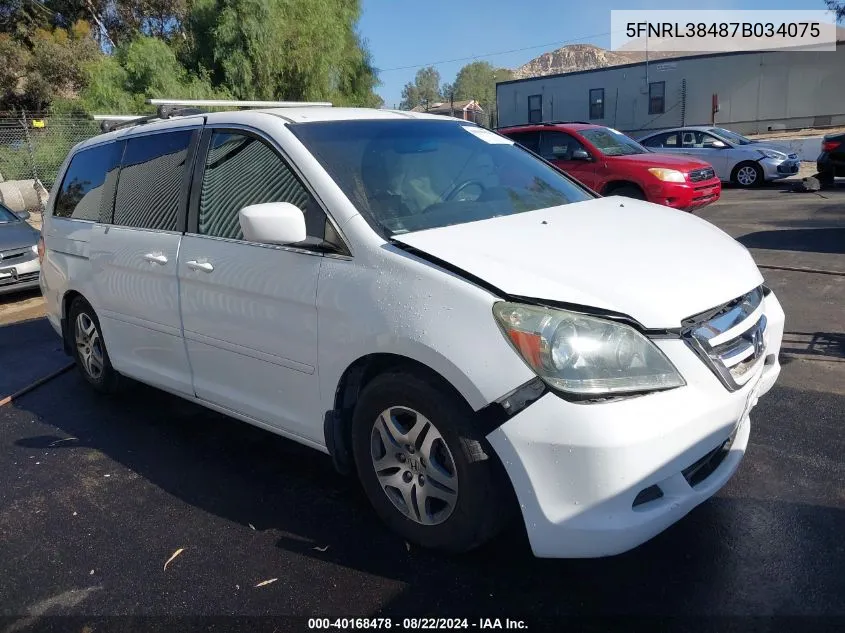 2007 Honda Odyssey Ex VIN: 5FNRL38487B034075 Lot: 40168478