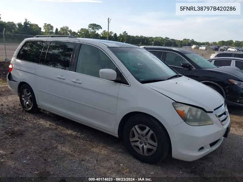 2007 Honda Odyssey Ex-L VIN: 5FNRL38797B420286 Lot: 40174023