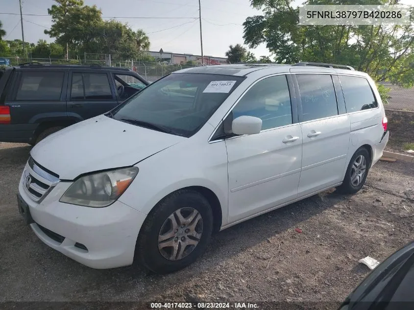 2007 Honda Odyssey Ex-L VIN: 5FNRL38797B420286 Lot: 40174023