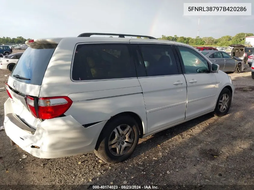 2007 Honda Odyssey Ex-L VIN: 5FNRL38797B420286 Lot: 40174023