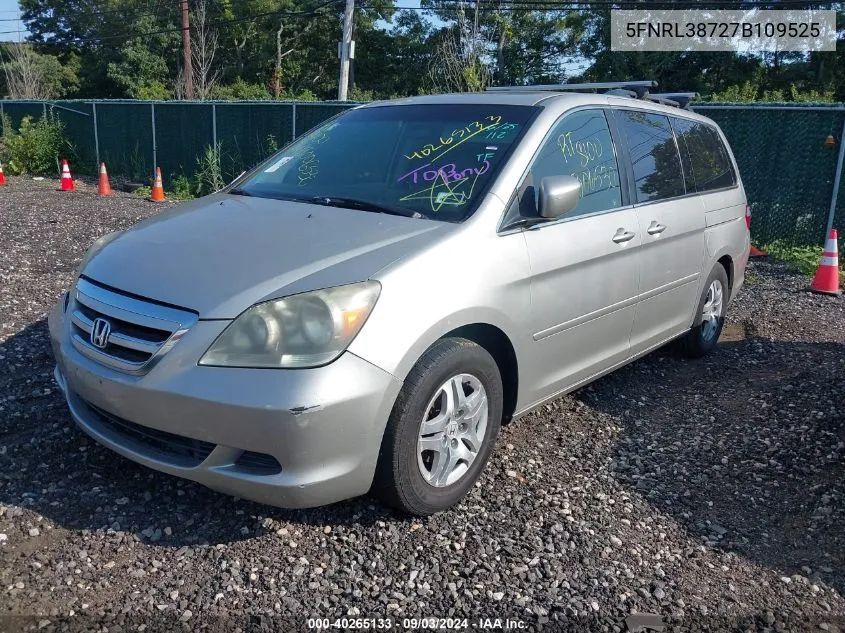 2007 Honda Odyssey Ex-L VIN: 5FNRL38727B109525 Lot: 40265133