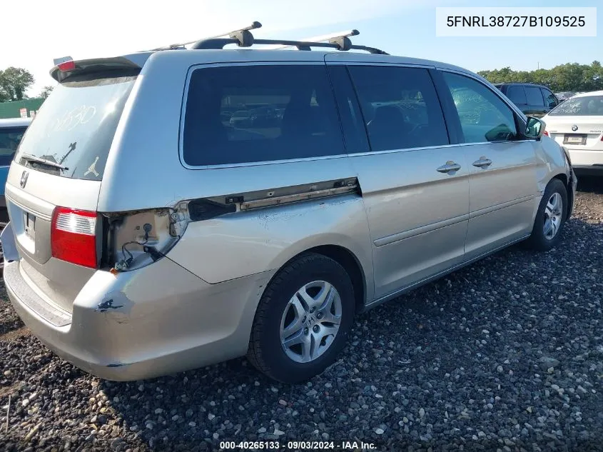 2007 Honda Odyssey Ex-L VIN: 5FNRL38727B109525 Lot: 40265133