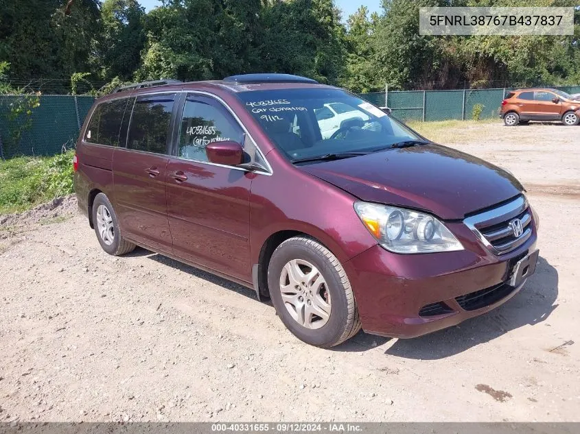 2007 Honda Odyssey Ex-L VIN: 5FNRL38767B437837 Lot: 40331655