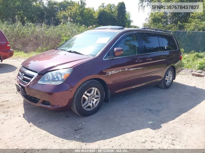 2007 Honda Odyssey Ex-L VIN: 5FNRL38767B437837 Lot: 40331655