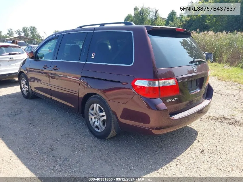 2007 Honda Odyssey Ex-L VIN: 5FNRL38767B437837 Lot: 40331655