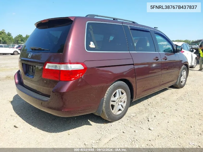 2007 Honda Odyssey Ex-L VIN: 5FNRL38767B437837 Lot: 40331655