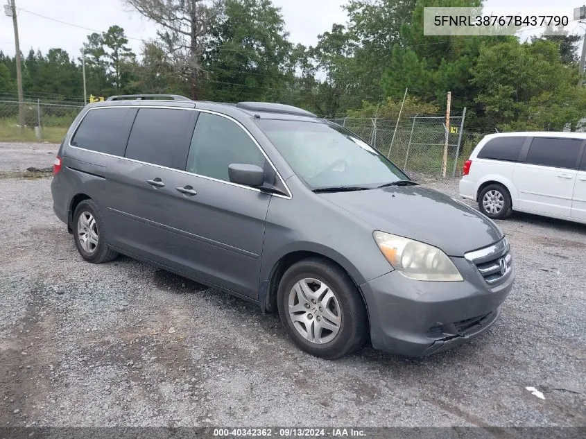 2007 Honda Odyssey Exl VIN: 5FNRL38767B437790 Lot: 40342362