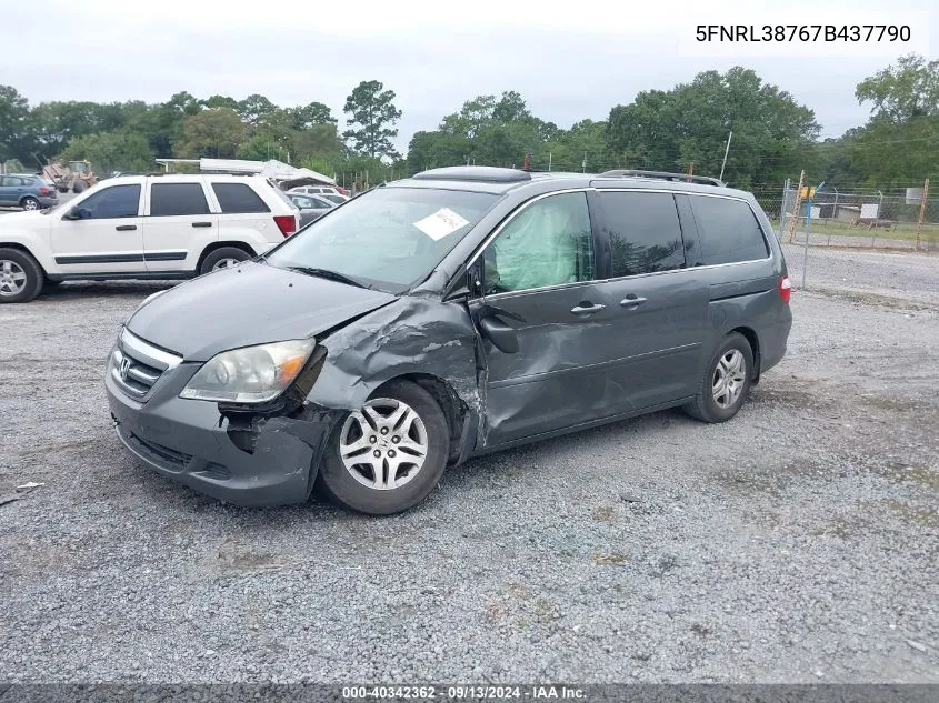 2007 Honda Odyssey Exl VIN: 5FNRL38767B437790 Lot: 40342362