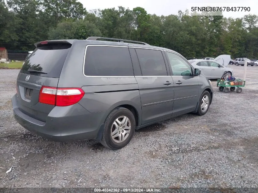 2007 Honda Odyssey Exl VIN: 5FNRL38767B437790 Lot: 40342362