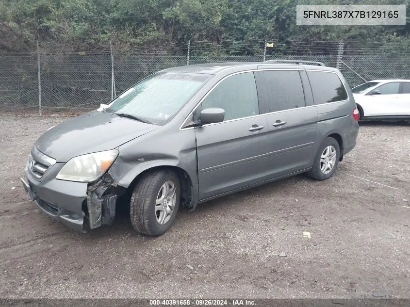 2007 Honda Odyssey Ex-L VIN: 5FNRL387X7B129165 Lot: 40391658