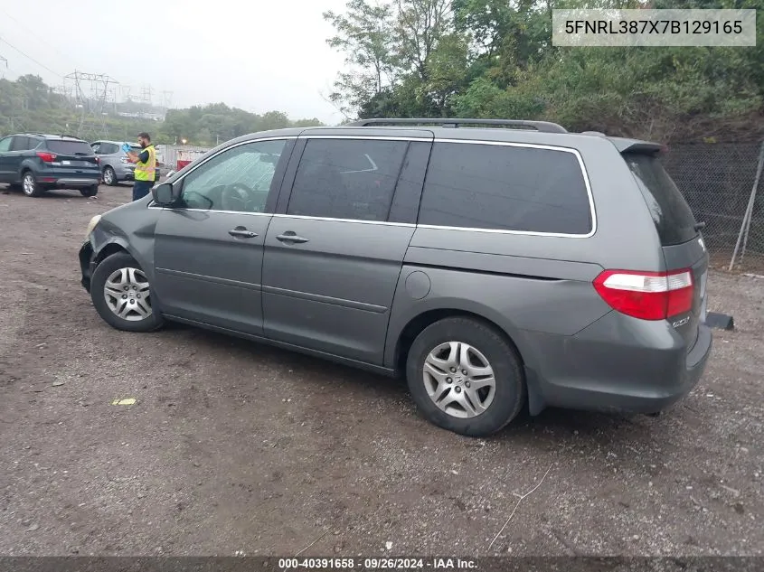 2007 Honda Odyssey Ex-L VIN: 5FNRL387X7B129165 Lot: 40391658