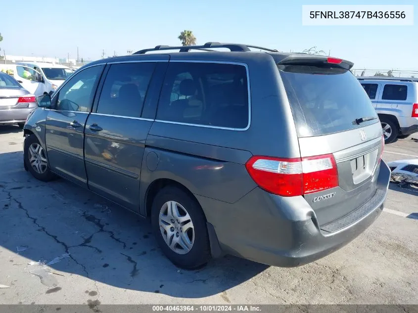 2007 Honda Odyssey Ex-L VIN: 5FNRL38747B436556 Lot: 40463964