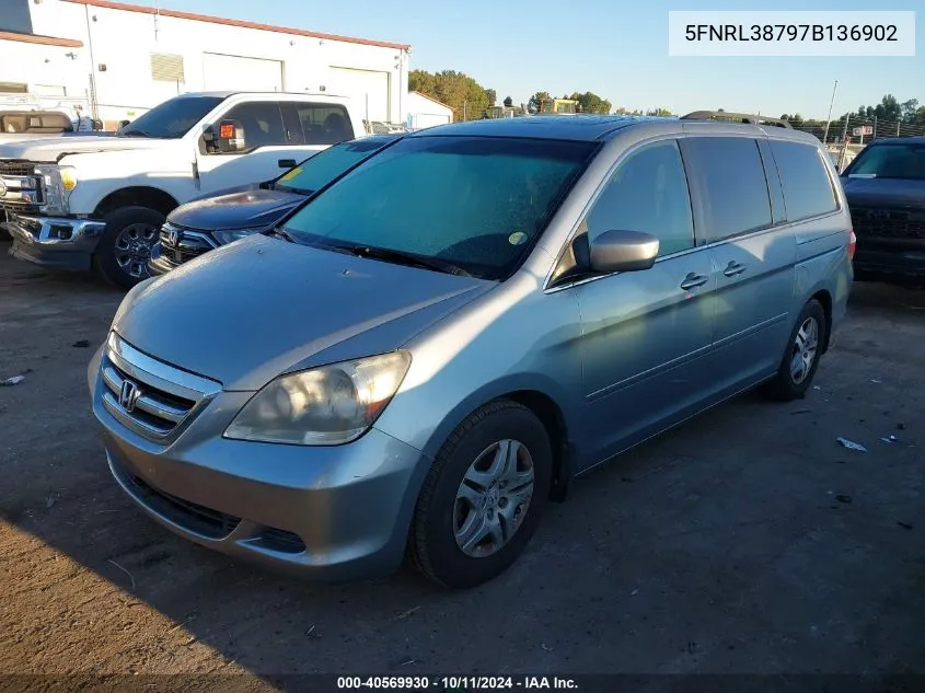 2007 Honda Odyssey Exl VIN: 5FNRL38797B136902 Lot: 40569930