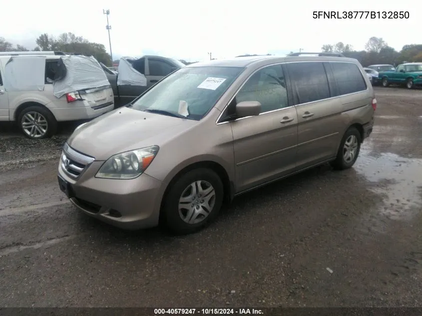 2007 Honda Odyssey Ex-L VIN: 5FNRL38777B132850 Lot: 40579247