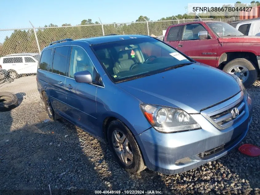 2007 Honda Odyssey Ex-L VIN: 5FNRL38667B044427 Lot: 40649169