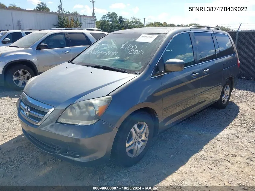 2007 Honda Odyssey Ex-L VIN: 5FNRL38747B439022 Lot: 40660887