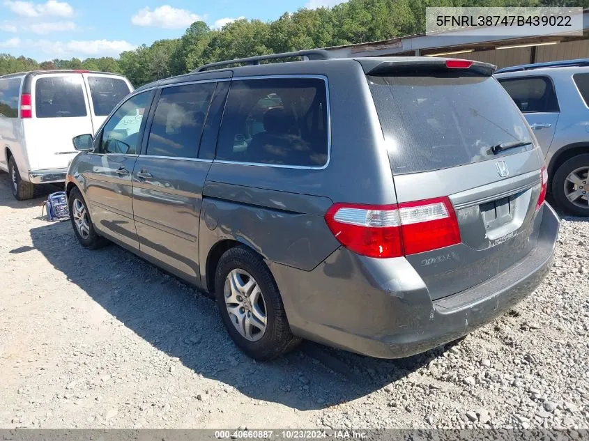 2007 Honda Odyssey Ex-L VIN: 5FNRL38747B439022 Lot: 40660887