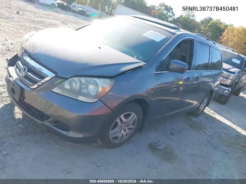 2007 Honda Odyssey Ex-L VIN: 5FNRL38737B450481 Lot: 40698669