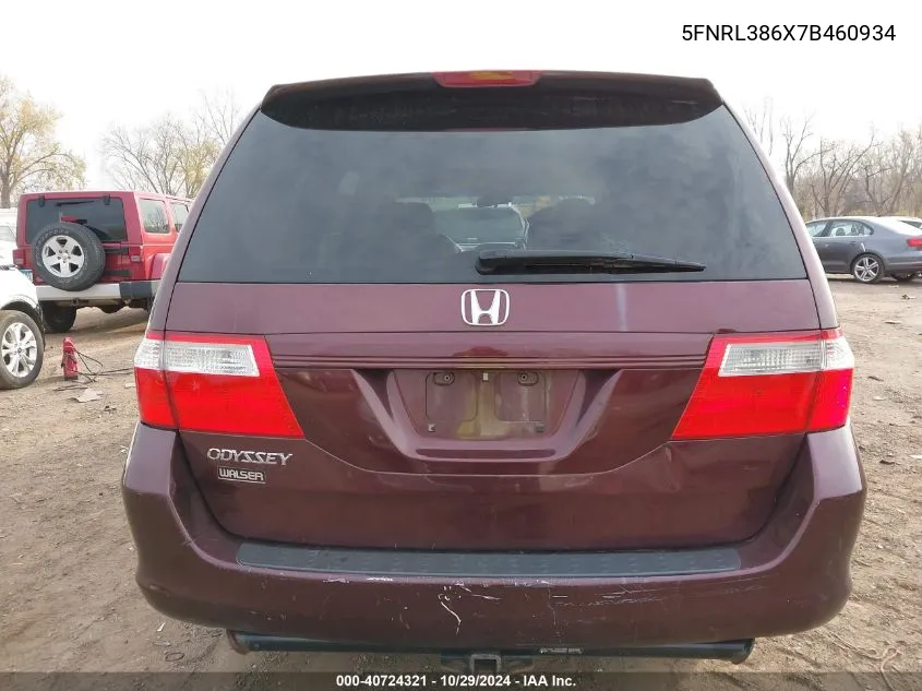 2007 Honda Odyssey Ex-L VIN: 5FNRL386X7B460934 Lot: 40724321