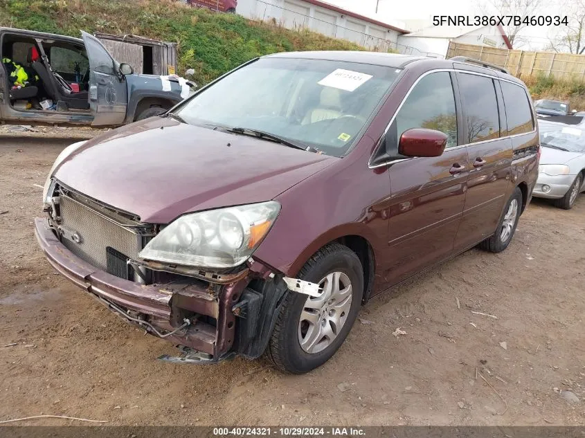 2007 Honda Odyssey Ex-L VIN: 5FNRL386X7B460934 Lot: 40724321